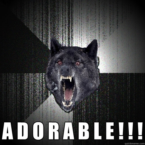  A D O R A B L E ! ! !   Insanity Wolf