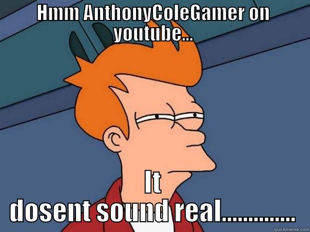 HMM ANTHONYCOLEGAMER ON YOUTUBE... IT DOSENT SOUND REAL.............. Futurama Fry