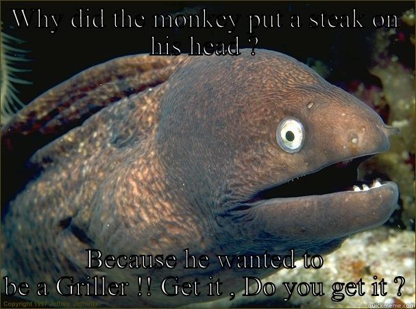 WHY DID THE MONKEY PUT A STEAK ON HIS HEAD ? BECAUSE HE WANTED TO BE A GRILLER !! GET IT , DO YOU GET IT ? Bad Joke Eel