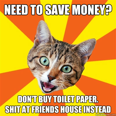 need to save money? don't buy toilet paper.            shit at friends house instead  Bad Advice Cat