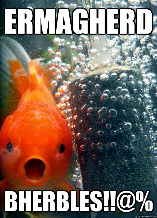 ERMAGHERD BHERBLES!!@%  Surprised Fish