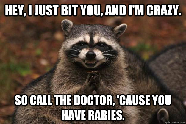 Hey, I just bit you, and I'm crazy. So call the doctor, 'cause you have rabies. - Hey, I just bit you, and I'm crazy. So call the doctor, 'cause you have rabies.  Evil Plotting Raccoon