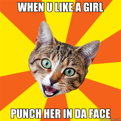 WHEN U LIKE A GIRL PUNCH HER IN DA FACE  Bad Advice Cat