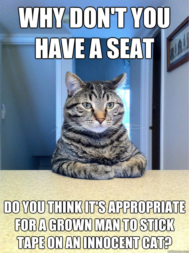 Why don't you have a seat Do you think it's appropriate for a grown man to stick tape on an innocent cat?  Chris Hansen Cat