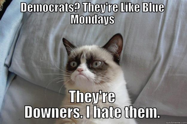 DEMOCRATS? THEY'RE LIKE BLUE MONDAYS THEY'RE DOWNERS. I HATE THEM. Grumpy Cat