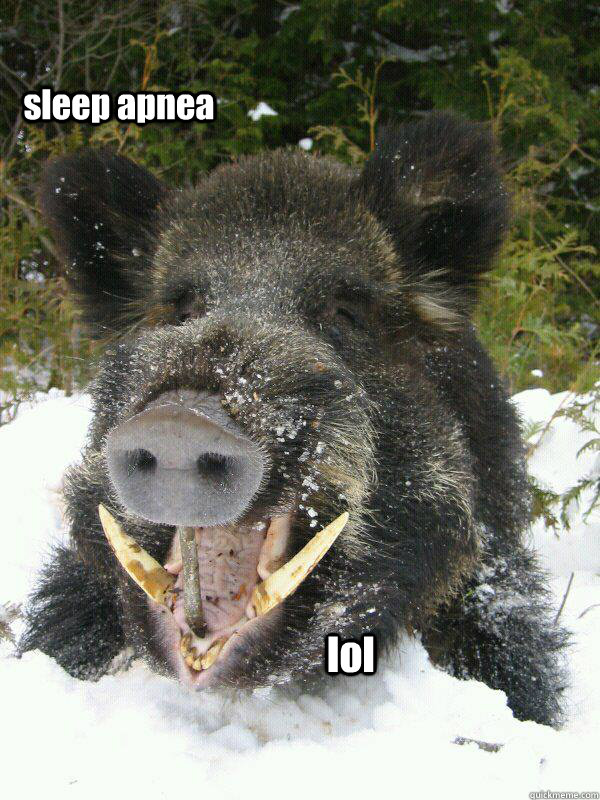 lol sleep apnea - lol sleep apnea  Happy Dead Boar