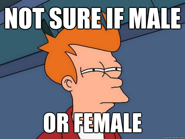 Not sure if male Or female  Futurama Fry