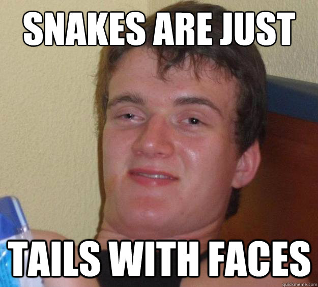 Snakes are just tails with faces  10 Guy