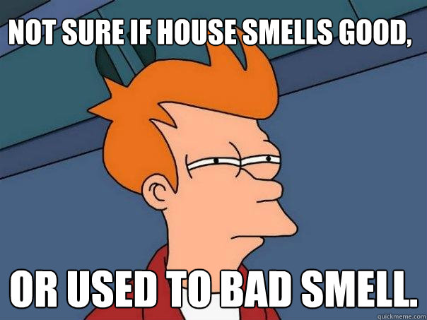 Not sure if house smells good, or used to bad smell.  Futurama Fry