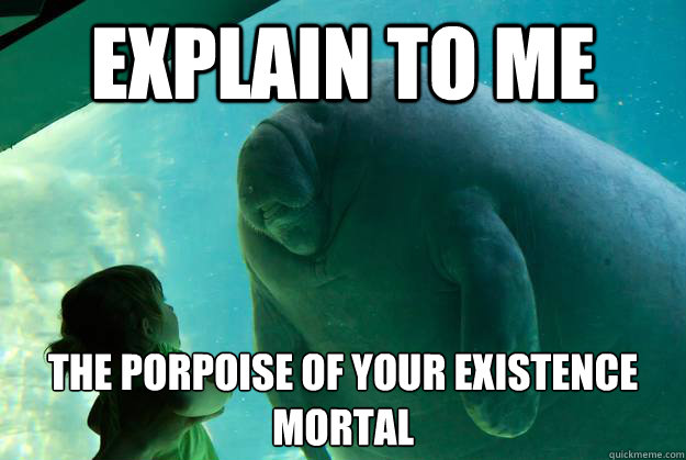 Explain to me The Porpoise of your existence
Mortal - Explain to me The Porpoise of your existence
Mortal  Overlord Manatee