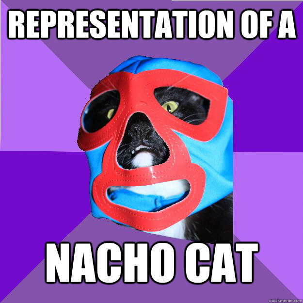 representation of a nacho cat  