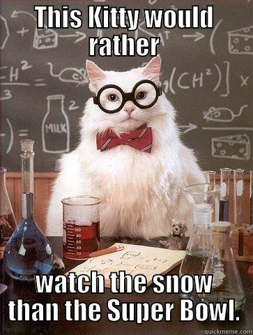 THIS KITTY WOULD RATHER WATCH THE SNOW THAN THE SUPER BOWL. Chemistry Cat