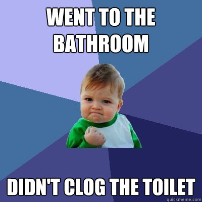 Went to the bathroom Didn't clog the toilet  Success Kid