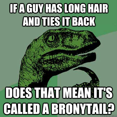 If a guy has long hair and ties it back does that mean it's called a Bronytail?  Philosoraptor