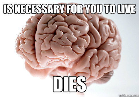 Is necessary for you to live Dies  Scumbag Brain