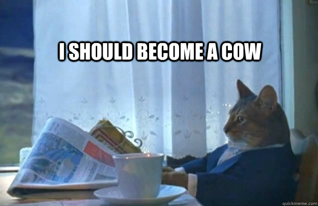 I should become a cow  Sophisticated Cat