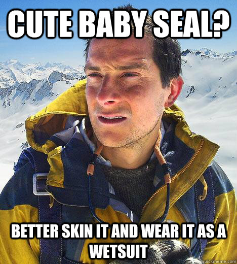 cute baby seal? better skin it and wear it as a wetsuit  Bear Grylls