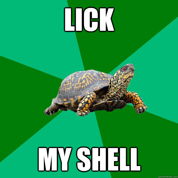 Lick My Shell  Torrenting Turtle