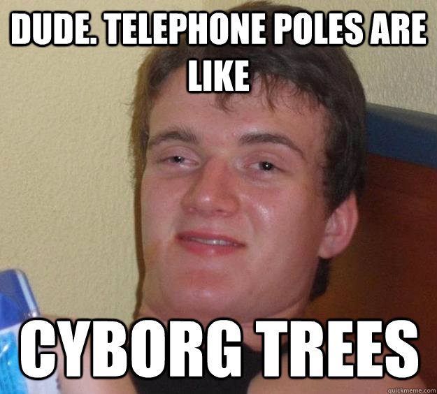 dude. telephone poles are like cyborg trees  10 Guy