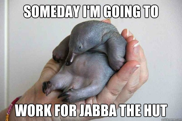 Someday I'm going to work for Jabba the Hut  Baby Max Rebo