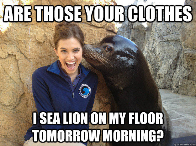 are those your clothes i sea lion on my floor tomorrow morning?  