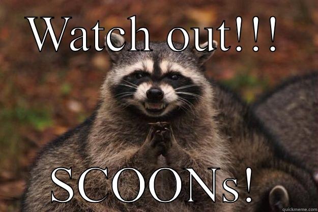 WATCH OUT!!! SCOONS! Evil Plotting Raccoon