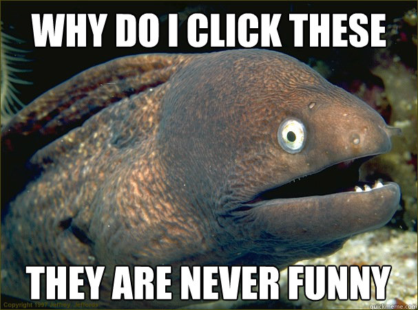 why do i click these they are never funny  Bad Joke Eel