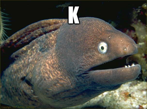 k   Bad Joke Eel