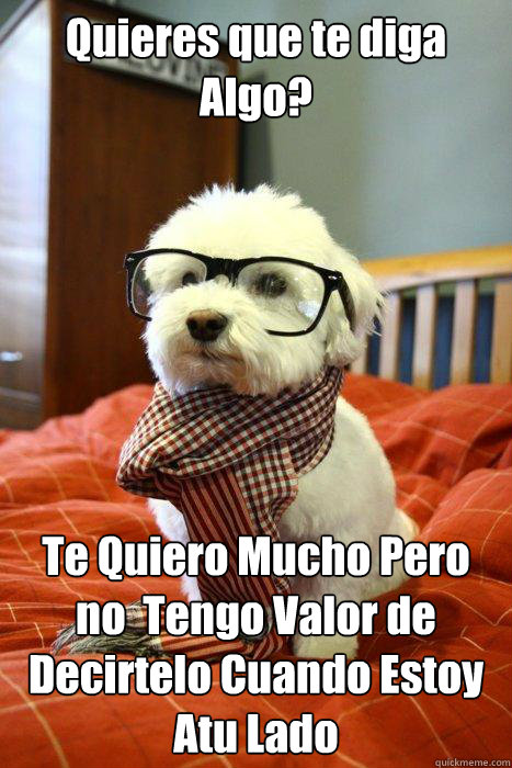 Quieres que te diga Algo? Te Quiero Mucho Pero no  Tengo Valor de Decirtelo Cuando Estoy Atu Lado  Hipster Dog