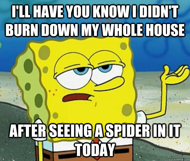 I'll have you know I didn't burn down my whole house after seeing a spider in it today  Tough Spongebob