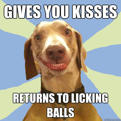 Gives you kisses Returns to licking balls  Disgusting Doggy