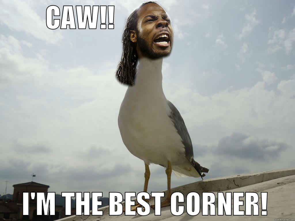 SEATTLE SEAGULL RICHARD SHERMAN -   CAW!!                            I'M THE BEST CORNER! Misc