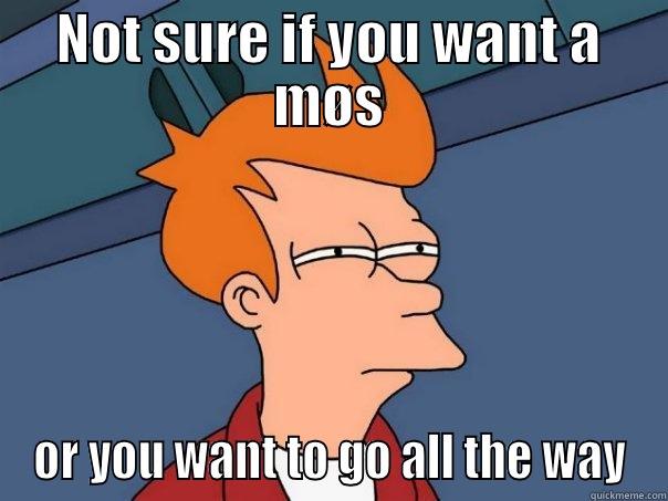 NOT SURE IF YOU WANT A MØS OR YOU WANT TO GO ALL THE WAY Futurama Fry