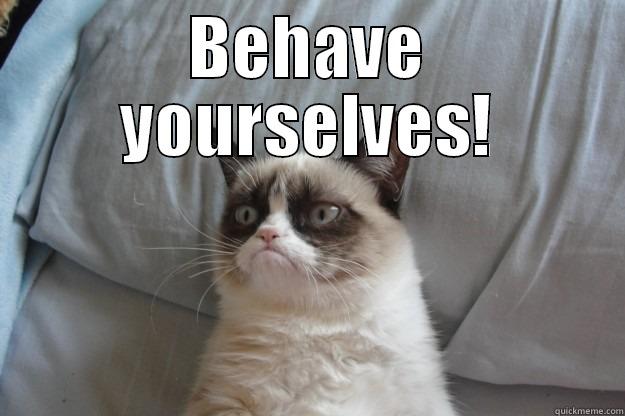 BEHAVE YOURSELVES!  Grumpy Cat