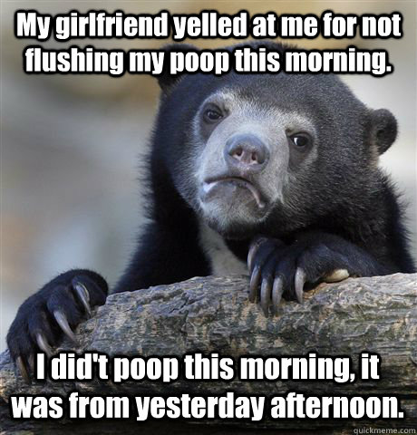 My girlfriend yelled at me for not flushing my poop this morning. I did't poop this morning, it was from yesterday afternoon.  Confession Bear