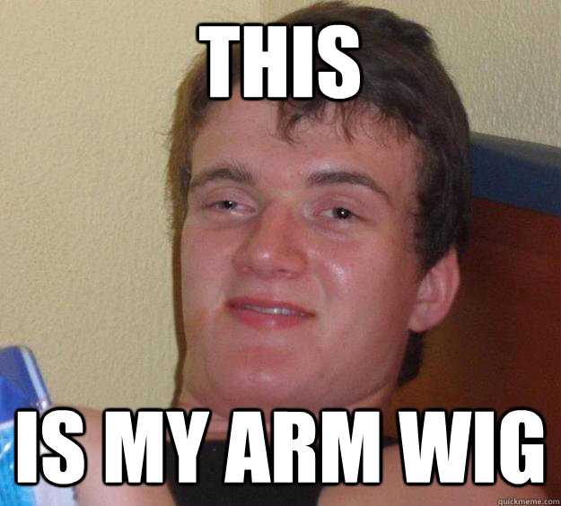 THIS IS MY ARM WIG  10 Guy