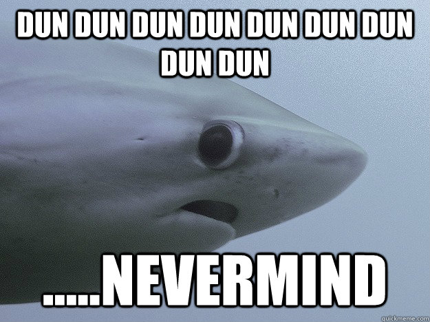 DUN DUN DUN DUN DUN DUN DUN DUN DUN .....NEVERMIND  Shy Shark