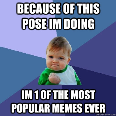 because of this pose im doing im 1 of the most popular memes ever  Success Kid