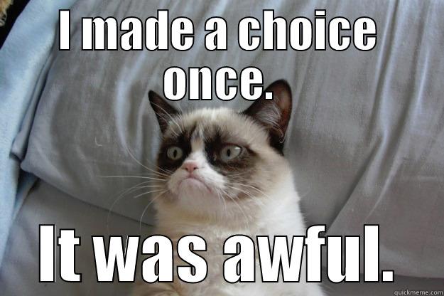 I made a choice once - I MADE A CHOICE ONCE. IT WAS AWFUL. Grumpy Cat