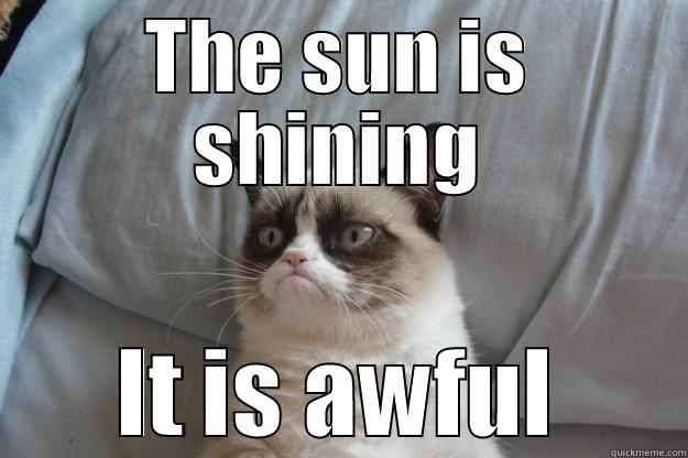 THE SUN IS SHINING IT IS AWFUL Grumpy Cat