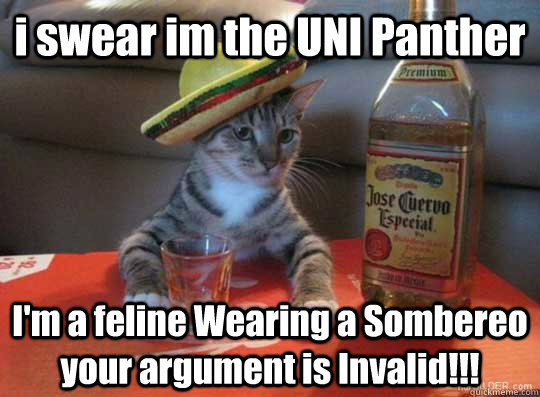 i swear im the UNI Panther I'm a feline Wearing a Sombereo your argument is Invalid!!! - i swear im the UNI Panther I'm a feline Wearing a Sombereo your argument is Invalid!!!  sombrero cat