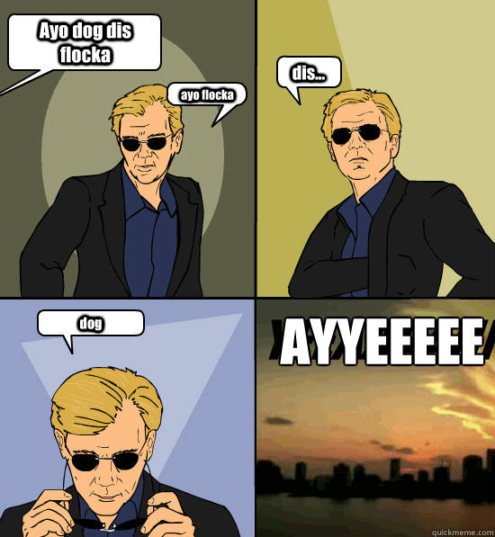 Ayo dog dis flocka ayo flocka dis... dog AYYEEEEEE - Ayo dog dis flocka ayo flocka dis... dog AYYEEEEEE  CSI Miami