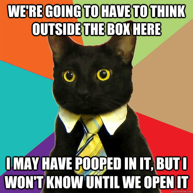 We're going to have to think outside the box here I may have pooped in it, but I won't know until we open it  Business Cat