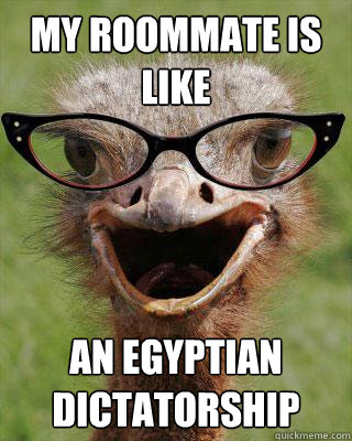 My roommate is like an Egyptian dictatorship  Judgmental Bookseller Ostrich