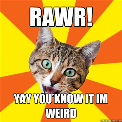 rawr! yay you know it im weird - rawr! yay you know it im weird  Bad Advice Cat