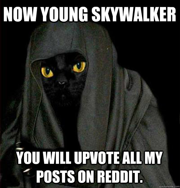 Now young skywalker You will upvote all my posts on reddit.  - Now young skywalker You will upvote all my posts on reddit.   Darth Meow