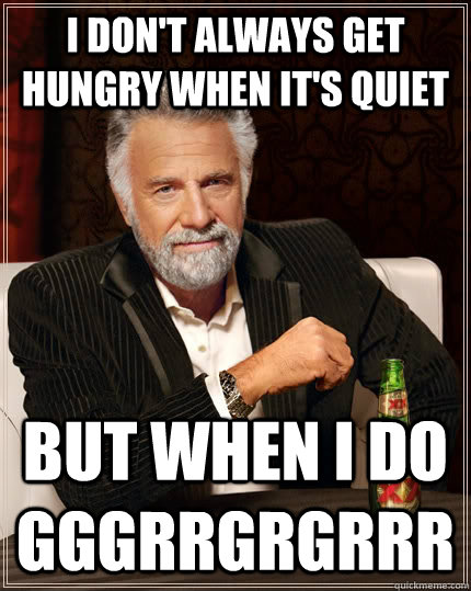 I don't always get hungry when it's quiet but when I do gggrrgrgrrr - I don't always get hungry when it's quiet but when I do gggrrgrgrrr  The Most Interesting Man In The World