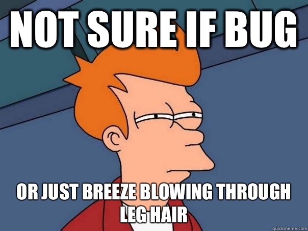 Not sure if bug Or just breeze blowing through leg hair  Futurama Fry