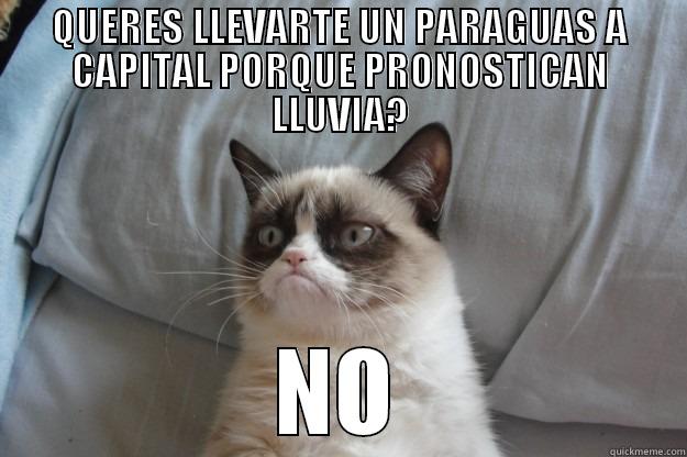 QUERES LLEVARTE UN PARAGUAS A CAPITAL PORQUE PRONOSTICAN LLUVIA? NO Grumpy Cat