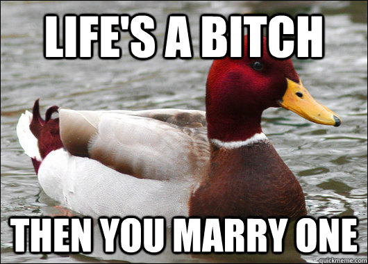 life's a bitch then you marry one  Malicious Advice Mallard